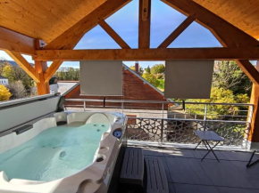 L'ACIÉRIE Logis de luxe avec Jacuzzi